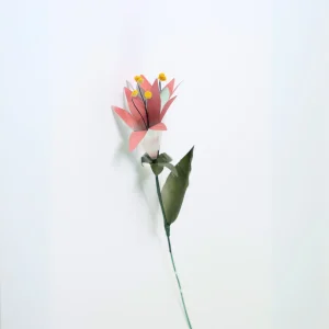 Flor lilium doble de hojalata en tonos rosados